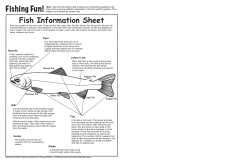 Fishing Fun! Fish Information Sheet