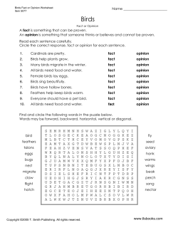 Fact or Opinion Worksheet About Birds