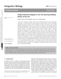 Single-molecule imaging in vivo: the dancing building blocks of the