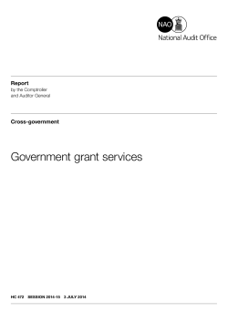 Government grant services