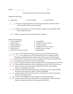 LE Fundamentals of the Nervous System Quiz Match the following