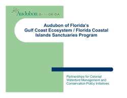 Audubon of Florida`s Gulf Coast Ecosystem