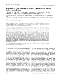 Morphological and Agronomical Diversity Patterns in the Spanish