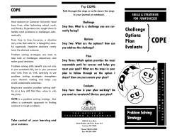 Challenge, Options, Plan, Evaluate