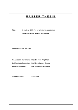 MASTER THESIS - Internet Systematic Lab