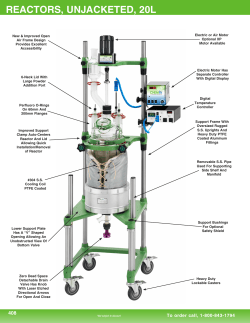 reactors, unjacketed, 20l