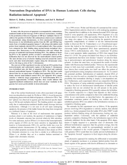 Nonrandom Degradation of DNA in Human