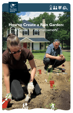 How to Create a Rain Garden - Essex Region Conservation Authority