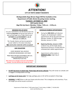 2009-2010 Leaf Collection