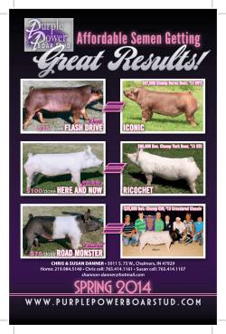 Great Results! - Purple Power Boar Stud