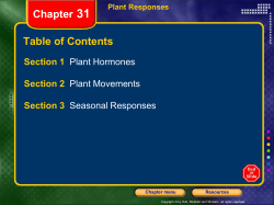 Multiple Choice, continued