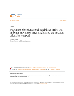 Evaluation of the functional capabilities of fins and