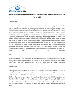 Investigating the Effect of Lipase Concentration on the