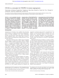 CD146 is a coreceptor for VEGFR-2 in tumor