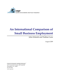 An International Comparison of Small Business
