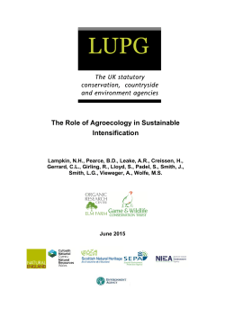 The Role of Agroecology in Sustainable Intensification
