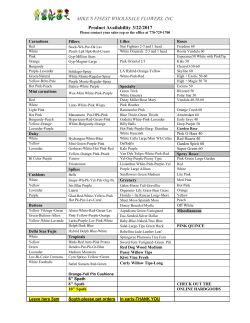 File - Mike`s Finest Wholesale Flowers, Inc.