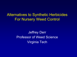 Controlling Weeds in Nurseries with Alternatives to Conventional