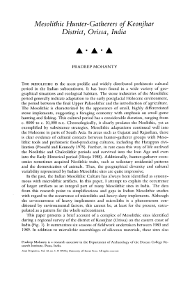 Mesolithic Hunter-Gatherers of Keonjhar District
