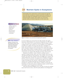 Nutrient Cycles in Ecosystems