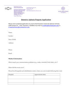 Intensive Aphasia Program Application