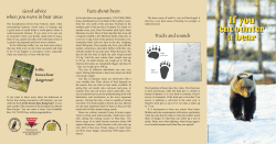 If you encounter a bear If you encounter a bear