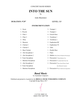 Into The Sun - Brolga Music