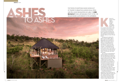 the theme of something good coming out of tragedy is ubiquitous