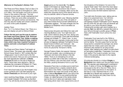 Freshwater`s Histree Trail The Poets and Pines Histree Trail is 6.3km