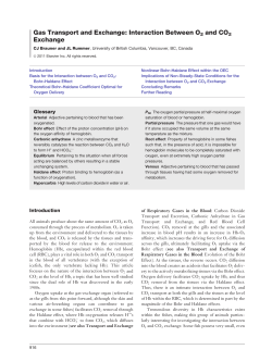 Gas Transport and Exchange: Interaction Between O2 and CO2