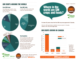 where in the world are GM crops and foods?