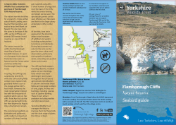 Flamborough Cliffs - Reserves and species