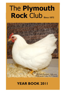 Club Yearbook - The Plymouth Rock Club