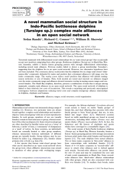 A novel mammalian social structure in Indo