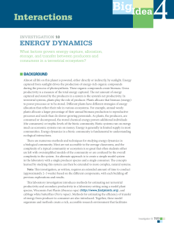 Energy Dynamics - The College Board