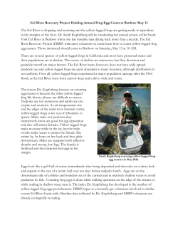 Eel River Recovery Project Holding Annual Frog Egg Count at