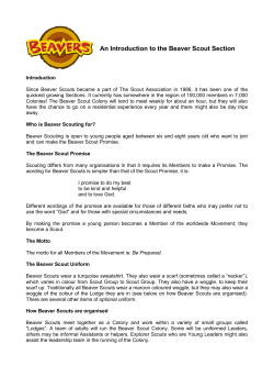 An Introduction to the Beaver Scout Section