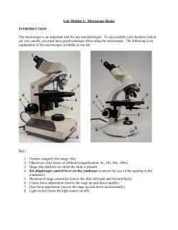 Lab Module 3: Microscope Basics INTRODUCTION The microscope