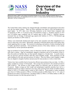 Overview of the US Turkey Industry 11/09/2007