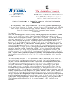 Guide to Using Imazapyr for Site Preparation in Southern