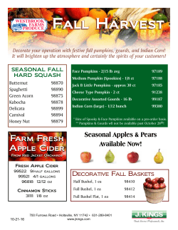 Fall Harvest Fall Harvest