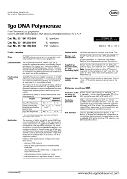 Tgo DNA Polymerase