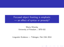 slides - Marta Wierzba