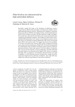 Polar bivalves are characterized by high antioxidant defences
