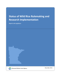 Status of Wild Rice Rulemaking and Research Implementation Report