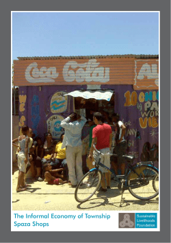 The Informal Economy of Township Spaza Shops