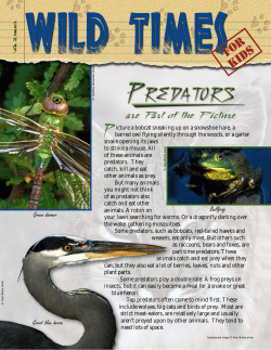 Predators - New Hampshire Fish and Game Department