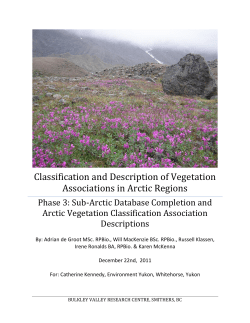 Classification and Description of Vegetation Associations in Arctic