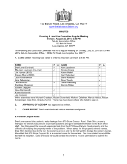 Minutes - Bel-Air Association