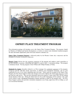 osprey place treatment program